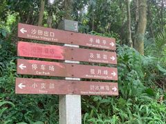 -广州市帽峰山景区