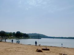 -上海月湖雕塑公园