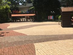 -挪亚方舟度假酒店