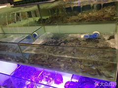 -多迷烫菜广场(水心大厦店)