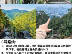 -南山植物园