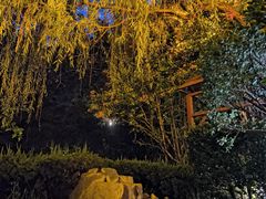 -徂徕山森林康养度假谷温泉