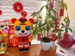 -SILKTONE诗丽堂美容