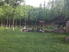 -艾溪湖湿地公园