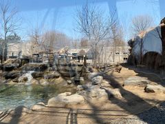 -北京野生动物园