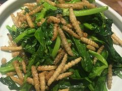 虫吃草-茶花妹子云南餐厅(北大店)