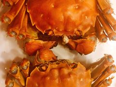 清蒸大闸蟹-王宝和酒家(黄浦店)