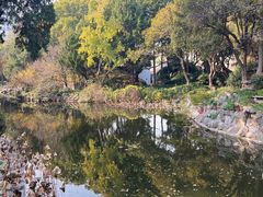 -叶家花园
