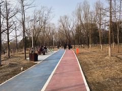-绿堤公园