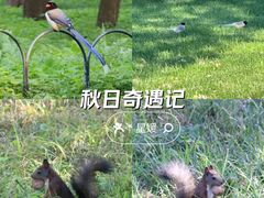 -天坛公园
