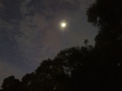 -金鸡山公园