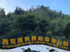 -西双版纳原始森林公园