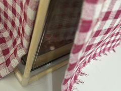 -酷以爬仙阁实体爬宠店·守宫·蜥蜴·专业繁育