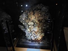 -陕西自然博物馆