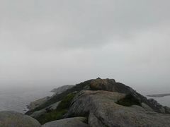 -洋山深水港