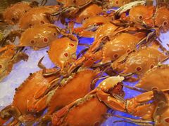 -南湖名都·景湖轩全日制餐厅·海鲜自助·东南亚风味·临湖而食