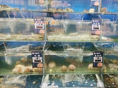 -小船渔村•大连菜•大连焖鱼(明泽街店)