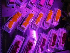 -六和聚传统烤鸭.天津菜(和平店)