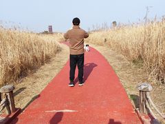 -春花秋色城市公园