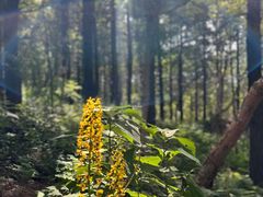 -白草畔自然风景区