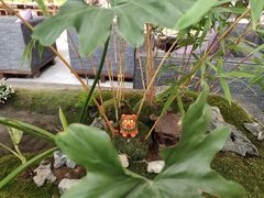 -天津海河悦榕庄·Lobby Lounge大堂吧