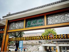 -鼎香皇高佬苏裹蒸粽