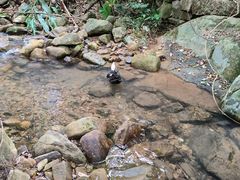 -福清灵石山国家森林公园