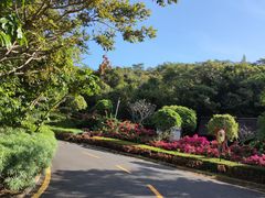 -亚龙湾热带天堂森林公园