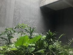 -大芬美术馆