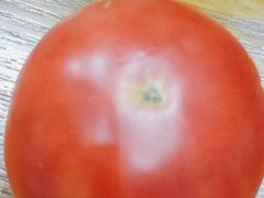 -学习谷日语培训日本留学·多语种外语教学(海淀人大分部)