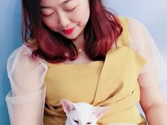 -喵的天空名猫咖啡馆·撸猫·猫舍·用品