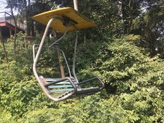 -茶颜悦色(岳麓山顶店)