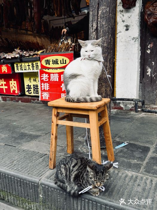 崇州市街子古镇图片