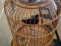 -月亮河温泉度假酒店