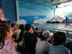 -秦皇岛乐岛海洋王国