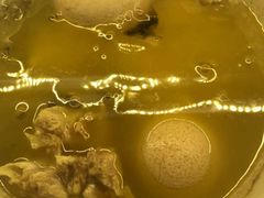 -徽三说·土徽菜·中国徽菜连锁品牌(一中店)