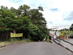 -汉拿树木园