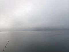 -酒仙湖景区