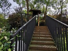 -重庆长寿碧桂园凤悦凤凰酒店