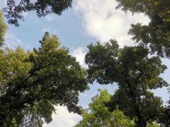 -北极阁公园