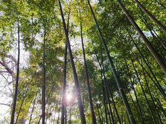 -四门塔风景区