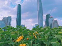 -海心沙亚运公园