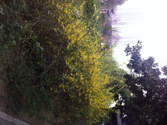 iphone_upload_pic-荆川公园
