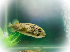 -多彩贵州城极地海洋世界