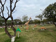 -长洲岛都市农业公园