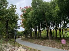 -蜀冈西峰生态公园