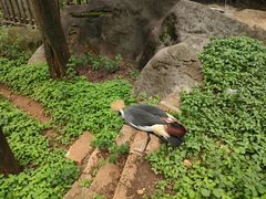 -昆明动物园