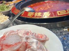 -蜀辣居鲜货老火锅(双流万达店)