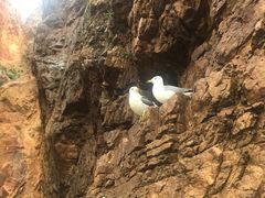 -海驴岛(荣成市)