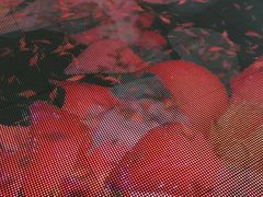 -广州市城市规划展览中心